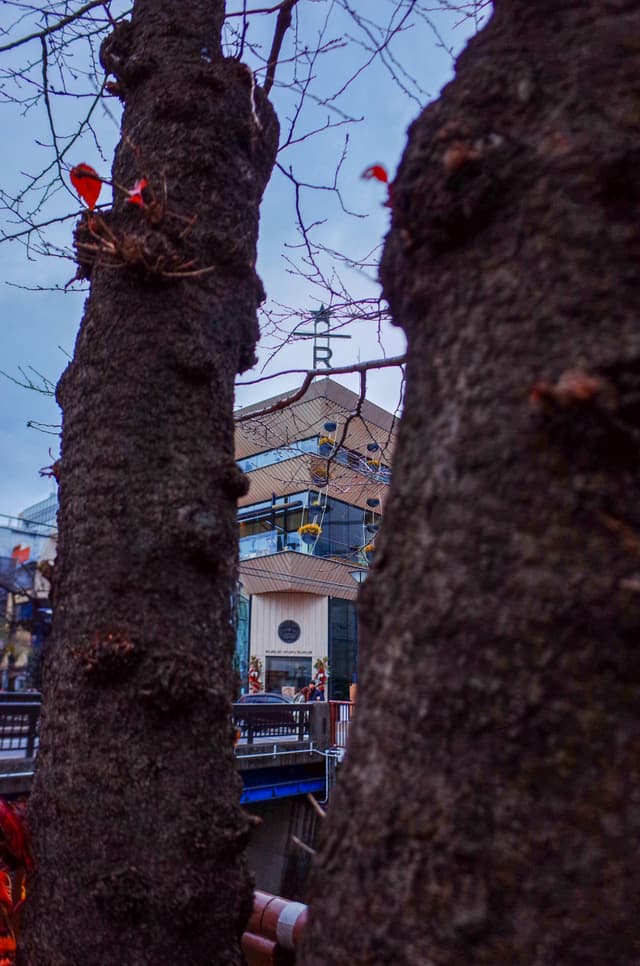 Starbucks Reserve Roastery Tokyo